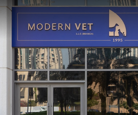 Modern Vet 