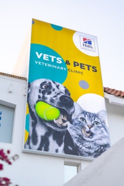 VETS & PETS Dubai - Italian Veterinary Clinic