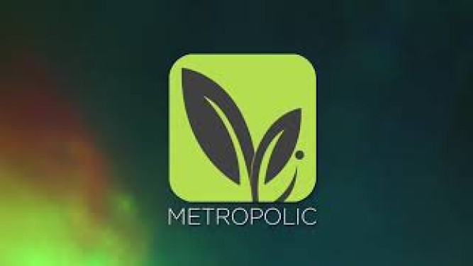 Metropolic Paper Industries LLC