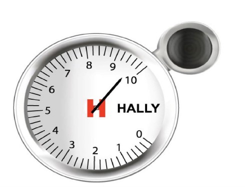 Hally Auto Spare Parts LLC