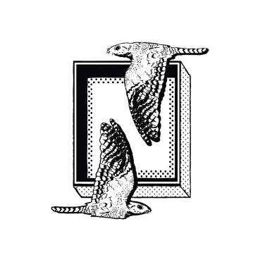 Nightjar Coffee Roasters