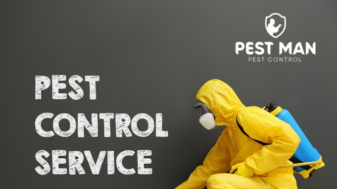 Pest Man Pest Control And Disinfection Service