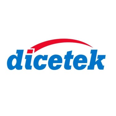 Dicetek L.L.C