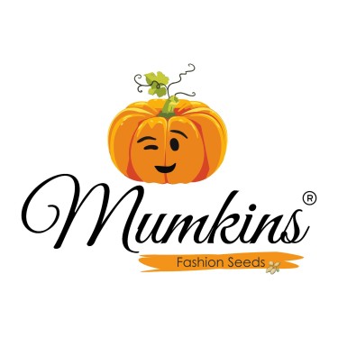 Mumkins Kids Wear