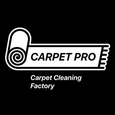 Carpet Pro