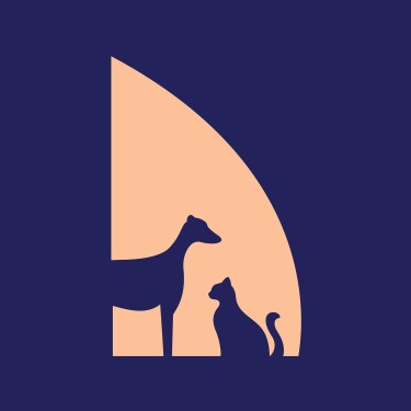Modern Vet JLT