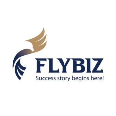 Flybiz Business Setup Consultants