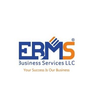 EBMS Business Services LLC