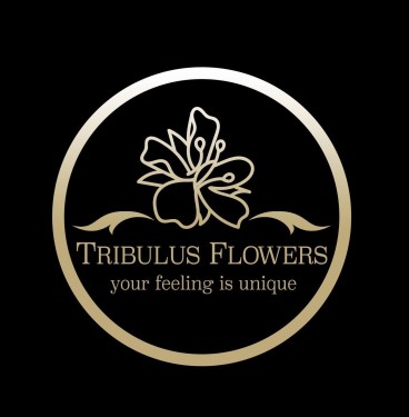 Tribulus Flowers