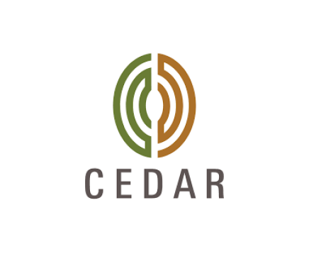 Cedar Management Consulting International