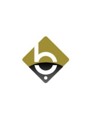 Basic Plus Trading LLC