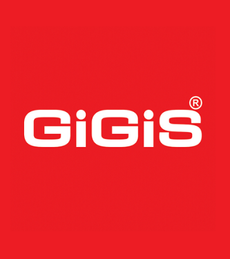 GiGiS International LLC