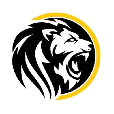 Digitalroar Softlabs