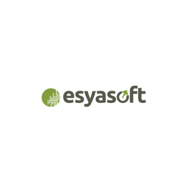 Esyasoft Holding Ltd