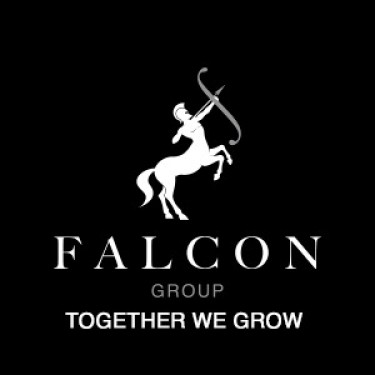 Falcon Bearings 