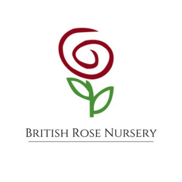 British Rose Nursery - Sharjah