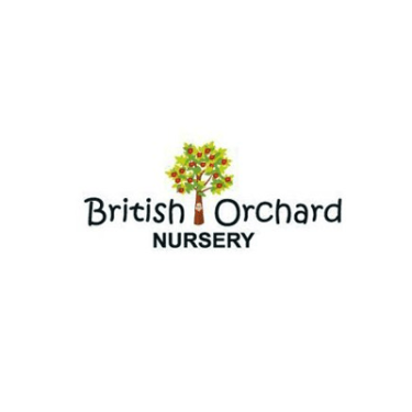 British Orchard Nursery - Al Jafiliya