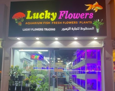 Lucky Flowers & Plants
