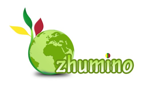 Zhumino International General Trading LLC