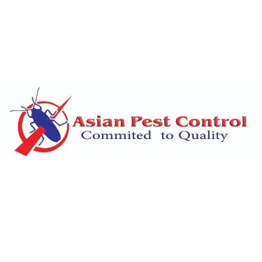 Asian Pest Control