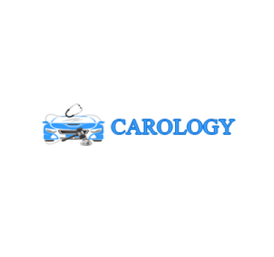 Carology Auctions 