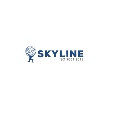 Skyline Medical Coding