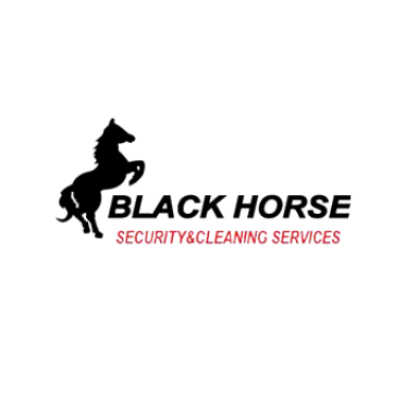 Black Horse Security