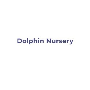 Dolphin Nursery