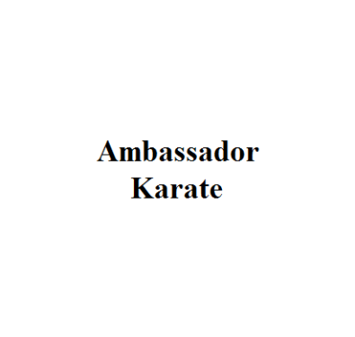 Ambassador Karate