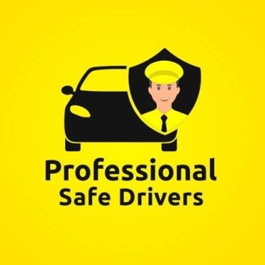  Professional Safe Driver 