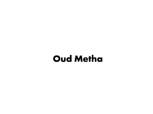 Oud Metha Metro Station