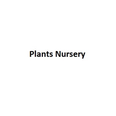 Plants Nursery