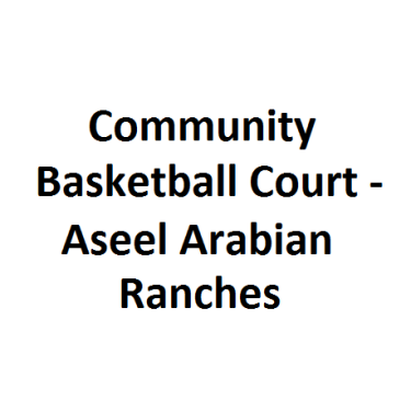 Community Basketball Court - Aseel Arabian Ranches