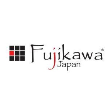 Fujikawa Japan Curtain Motors