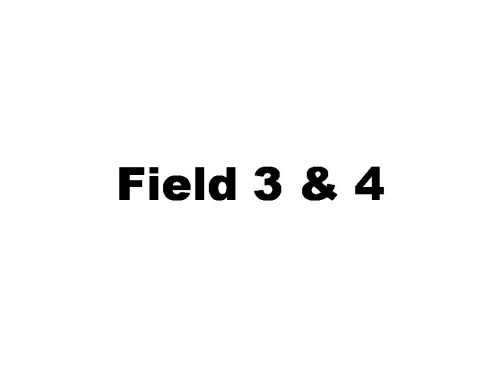 Field 3 & 4