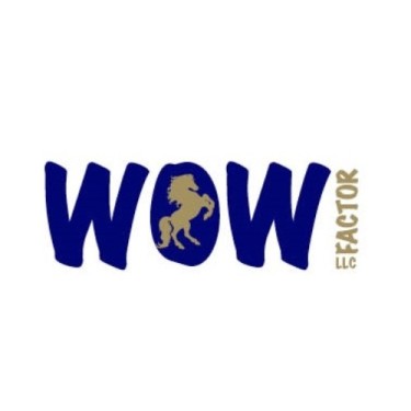 Wow Factor Building Materials Trading LLC