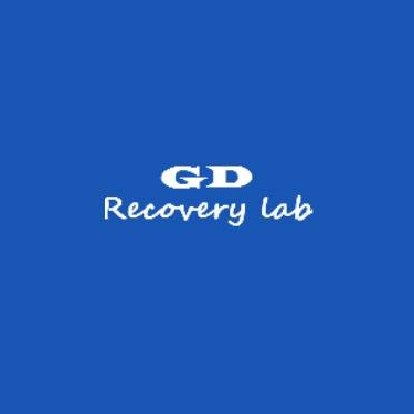 GD Recovery Lab