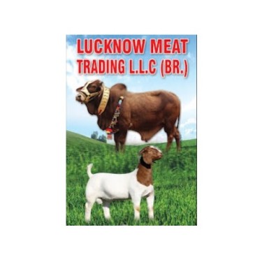 Lucknow Meat Shop
