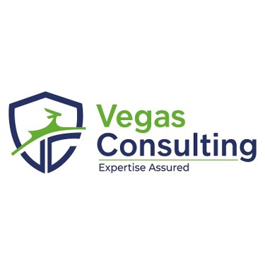 Vegas Consulting Group