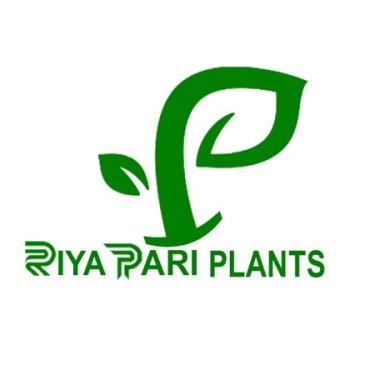 Riya Pari Plants Landscaping LLC