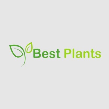 Best Plants