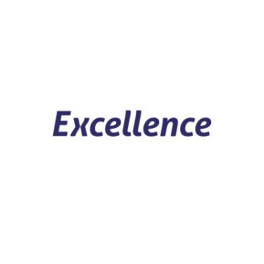 Excellence Auditing And Business Consultants