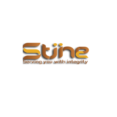 Stiine Electromechanical Works LLC