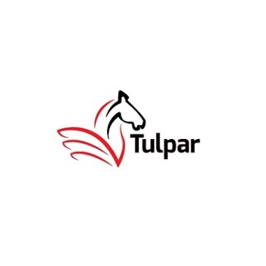 Tulpar Global Taxation