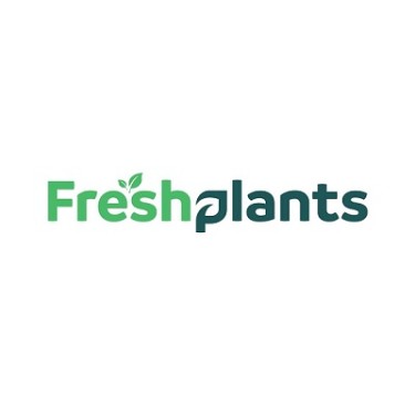 Fresh Plants