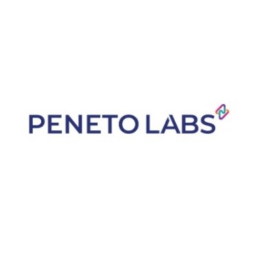 Peneto Cyber Risk Review LLC