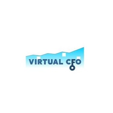 Virtual CFO Management Consultancy