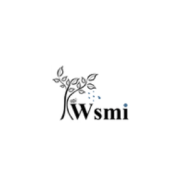 Wsmi