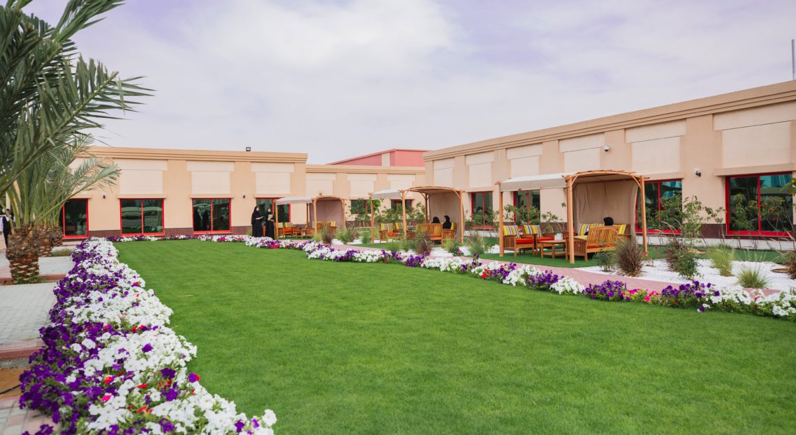 Jumeira University