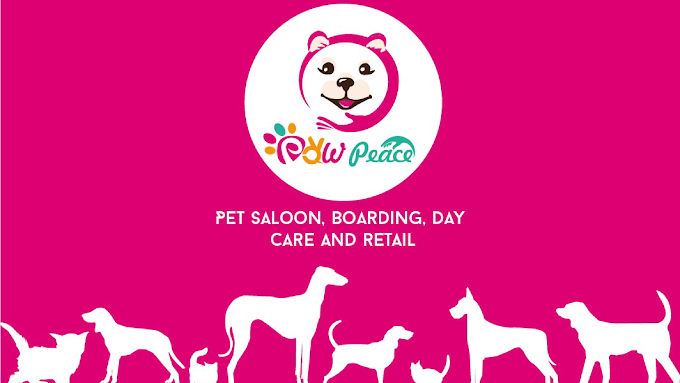 Peace paws grooming store salon